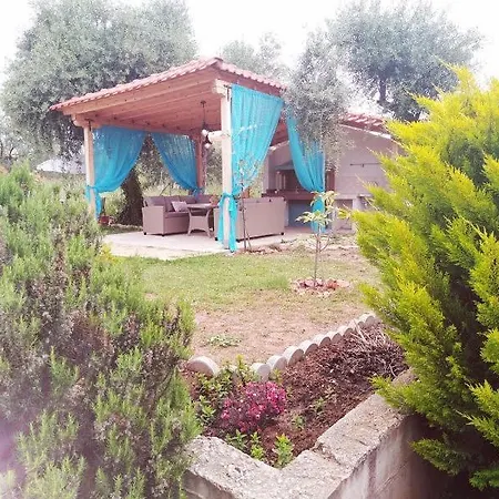 Apartment Sofis